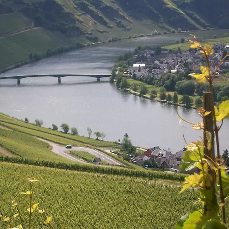 Berkele Fuer 8 Bis 12 Personen Holiday home Neumagen-Dhron