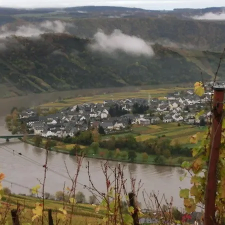 Berkele Fuer 8 Bis 12 Personen Holiday home Neumagen-Dhron