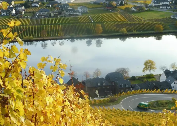 Berkele Fuer 8 Bis 12 Personen Neumagen-Dhron