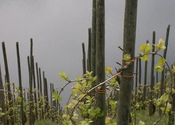 Berkele Fuer 8 Bis 12 Personen Holiday home