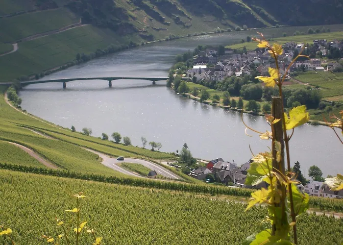 Berkele Fuer 8 Bis 12 Personen Holiday home Neumagen-Dhron