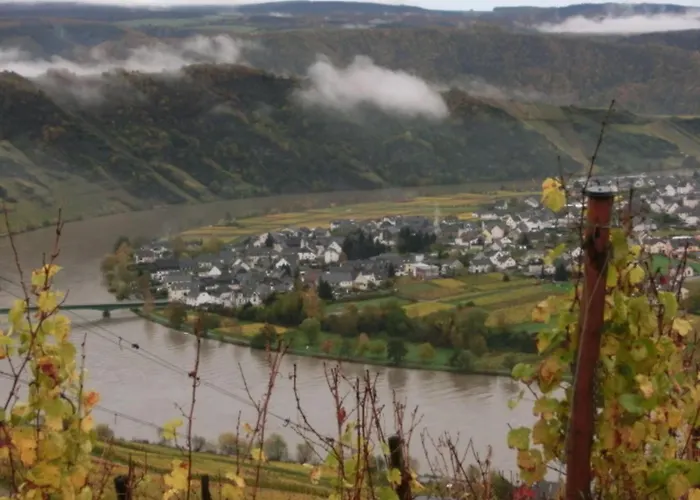 Berkele Fuer 8 Bis 12 Personen Holiday home Neumagen-Dhron